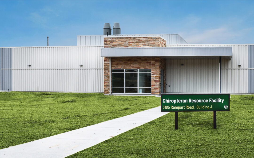 Colorado State University Chiropteran Resource Facility